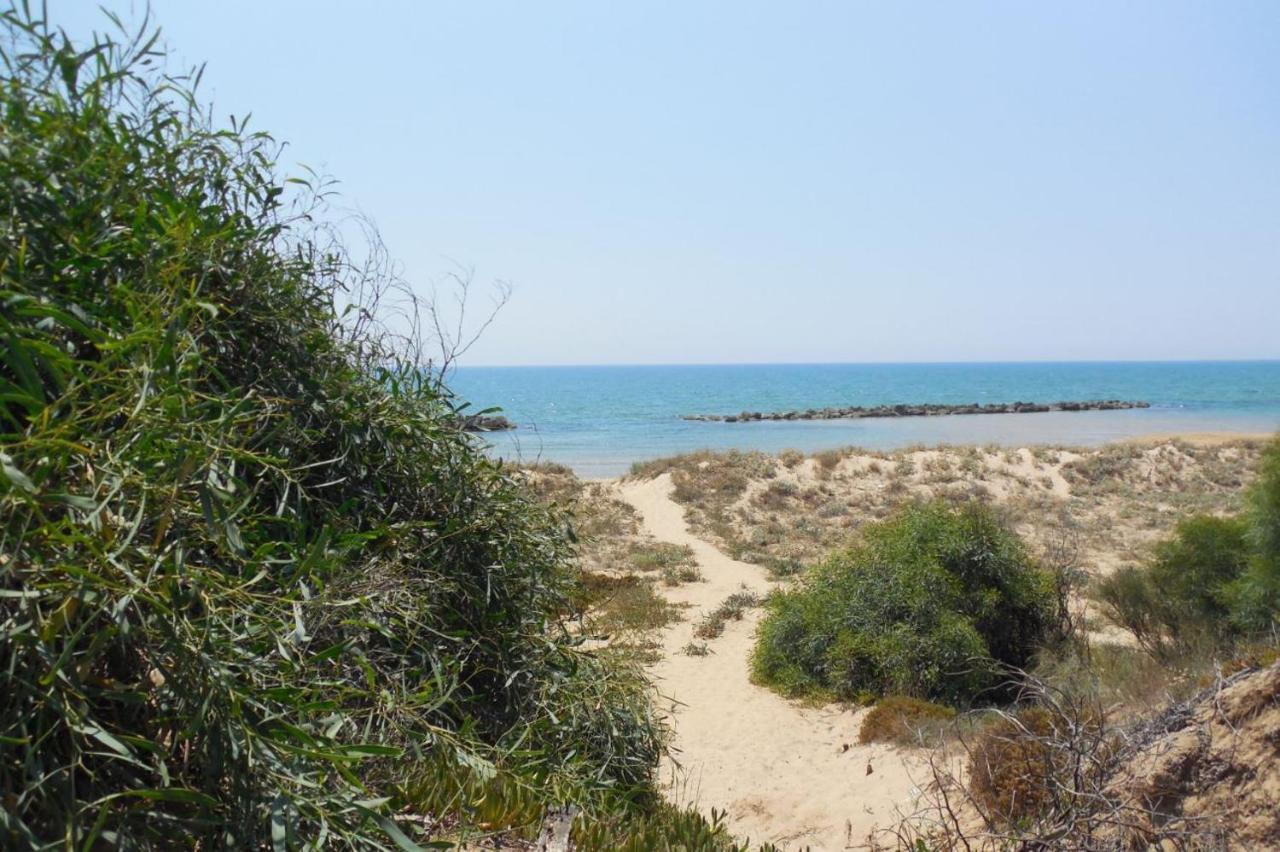 Giardino Della Nonna Bice - Locazioni Turistiche Villa Agrigento Eksteriør billede